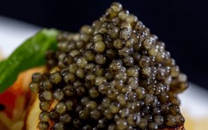 Ossetra caviar